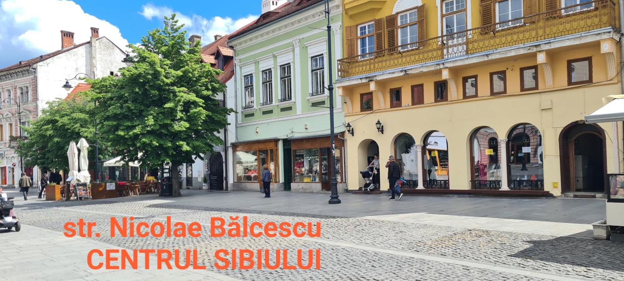 Victorian House Apartment Sibiu Bagian luar foto